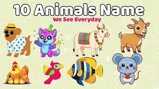 10 Animals We See Every Day 🐶🐱🐦| Learn Animals for Kids