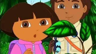Dora and Diego drawing | Dora and friends coloring book 