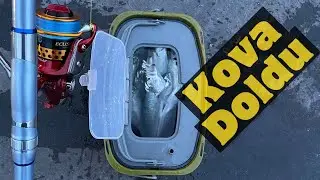 Jig Makinesi ile Kanaldan (Açıktan) Bir Kova Dolusu Balık Yakaladım Boylar Büyümüş #incelevesat