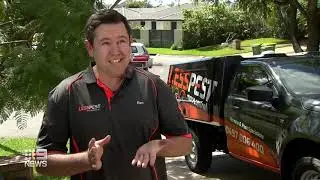 9News Ants LessPest More Control Gold Coast