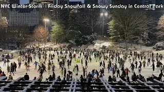 NYC Winter Storm  | Friday Snowfall & Snowy Sunday in Central Park