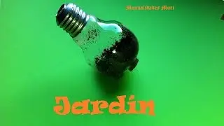 Manualidades, Como hacer un Jard&iacute;n dentro de una Bombilla. Reciclar.