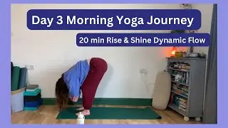 20 min Rise & Shine Dynamic Morning Yoga | All Levels | Day 3 of 14 Day Morning Yoga Journey ✨