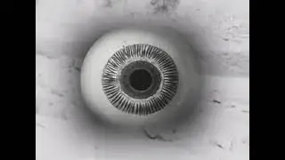 Tropical Gothclub - Wheels Within Wheels (Official Visualizer)