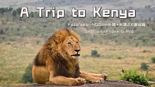 Shooting in Kenya, an iPhone and a 400mm, 2X teleconverter lens are sufficient！#mobileaccessories
