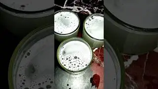 🤤Summer refreshing drink challenge no6 #youtube #tending  #shake #drinkchallenge #challenge #shorts