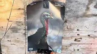 Cva scout 410 tss Turkey shotgun partner test getting tuned in for turkey season