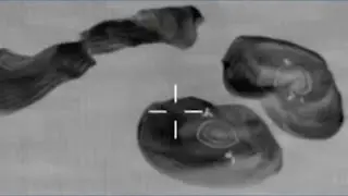 NASA Crew-11 splashes down in Pacific Ocean after medical issue forces early ISS exit