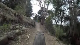 Blue Derby - Berms And Ferns and Rusty Crusty