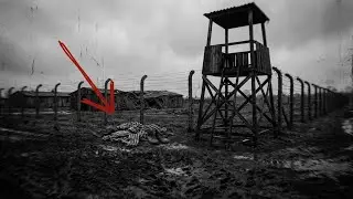 The GRUESOME Reality of Bergen-Belsen After the Camps Fell