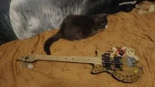 Чаптер 84. Шаролапыч рубит на Fretless mini bass 
