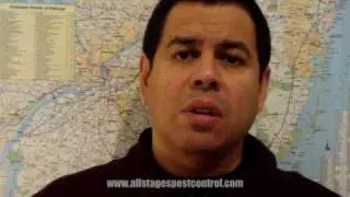 Pest Control : Home Pest Services NJ
