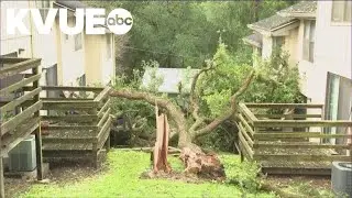 Hays County declares local disaster
