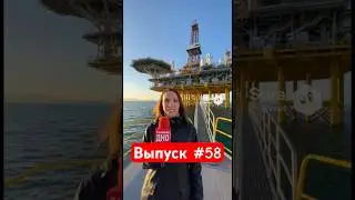 ЗАДРЫЩЕНСК - Репортаж на Нефтевышке - Выпуск #58 #viralvideo #юмор #задрыщенск #юлиядавалкина #fyp