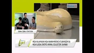 GMA Regional TV Live: World Animal Day 2023