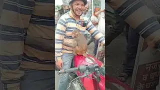 Bandar Verry funny 🐒