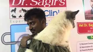 Veterinary Emergency Clinic 01912251312 Dog Vaccination Cat Vaccination Avian Vet FishVet Exotic Vet