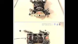 Crawling robot ALoF