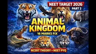 Animal Kingdom Part 2 | Coelom, Segmentation & Notochord | NEET Biology NCERT