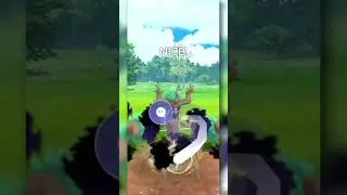 The BEST PLAY I Ever Made