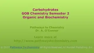 Introduction to Carbohydrates