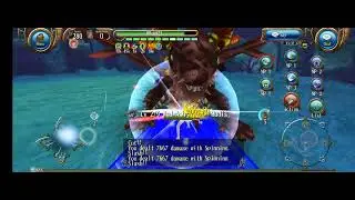 toram rudis nm solo ds