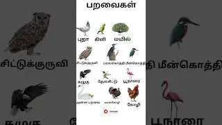 #பறவைகள்| birds name in tamil| birds#shorts