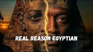 Why So Many Ancient Egyptian Statues Are Missing Their Noses (Real Reason Revealed)