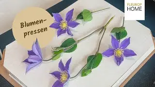 Blumen haltbar machen: So einfach geht das Blumenpressen!🌸