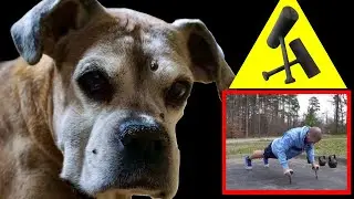Neuro-Grip - Girya Girl ★ HARDCORE BURPEE'S ★ + 14 Year old Boxer