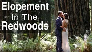 Most Amazing Redwood Forest Elopement