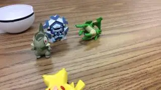 Pokemon village