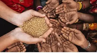 The Global Food Crisis Unveiled: A Countdown to Catastrophe