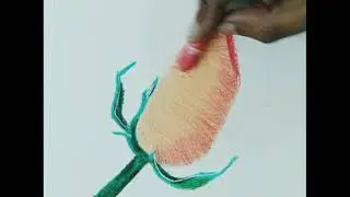 How to draw realistic rose flower || step by step || with oil pastel || #earbud || #oilpastel #draw