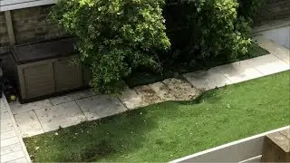 Stowaway falls from plane and barely misses man sunbathing (UK/(Kenya)) - ITV News - 2nd July 2019