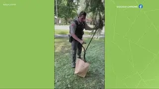 North Ridgeville police remove 6-foot rat snake from Lorain Road