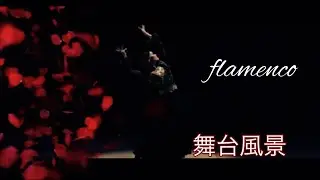 フラメンコ舞台風景風景