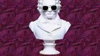 2MANYDJS / SOULWAX - A Fifth Of Beethoven