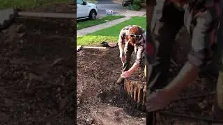 GTI Tree Stake Installation Video
