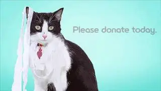 Doh'nation - Austin Humane Society