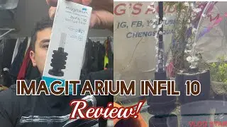 Imagitarium IN-FIL 10 sponge filter review