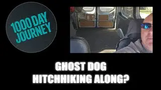 1000 Day Journey 0924 Ghost Dog Hitchhiking Along?