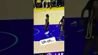 #fever #wnba #sparks #flyingobject #wnbaobject #faninterference #yikes #green