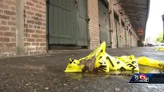 Unsolved: Republic NOLA mass shooting remains unsolved 7 months later