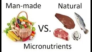 Vegan Food vs. Natural Food - Micronutrient Comparison