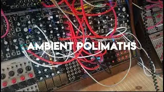 Ambient Polimaths | Make Noise Bruxa Mimeophon René MultiMod Spectraphon QXG
