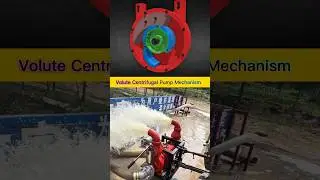 Volute Centrifugal Pump Working Animation Showing Impeller, Water Flow Path, Pressure Build-Up