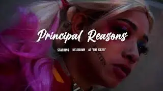 PRINCIPLE REASON
