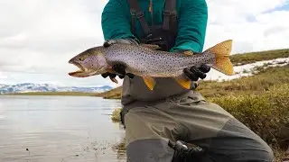 Fly Tying Live | Dungeon Streamer