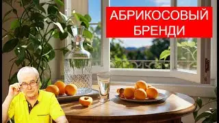 Первая перегонка фруктовой браги &mdash; Абрикосовый Бренди в домашних условиях.